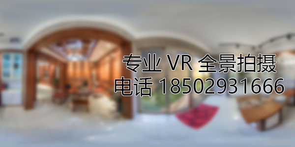 市中VR全景技术在未来可能的发展方向和应用领域?